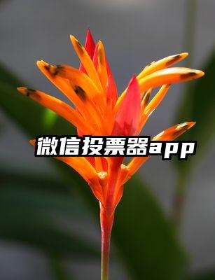 微信投票器app