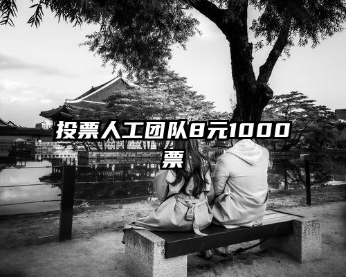 投票人工团队8元1000票