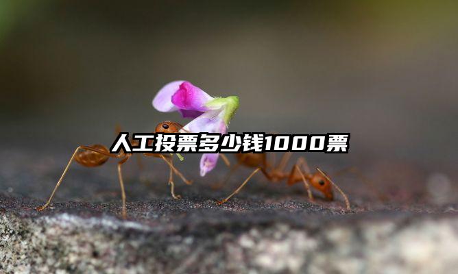 人工投票多少钱1000票