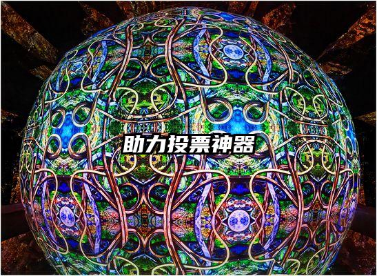 助力投票神器